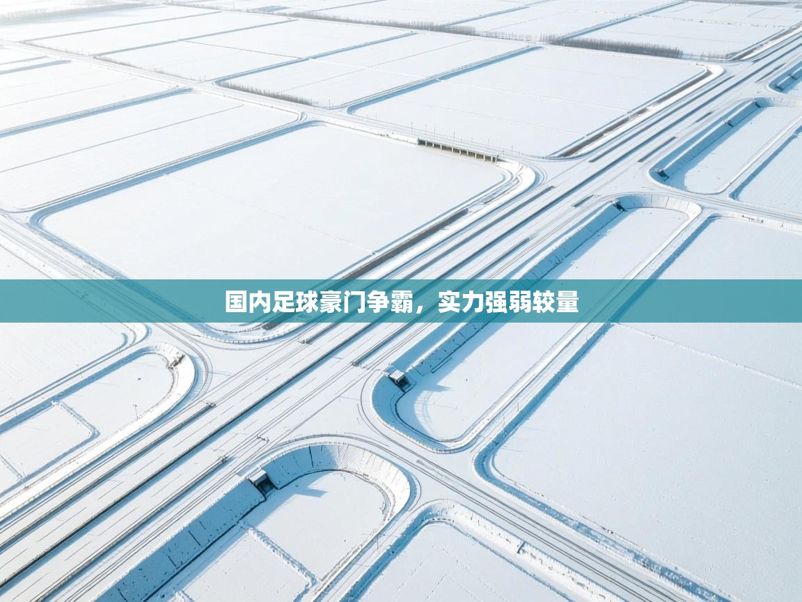 国内足球豪门争霸，实力强弱较量  第1张