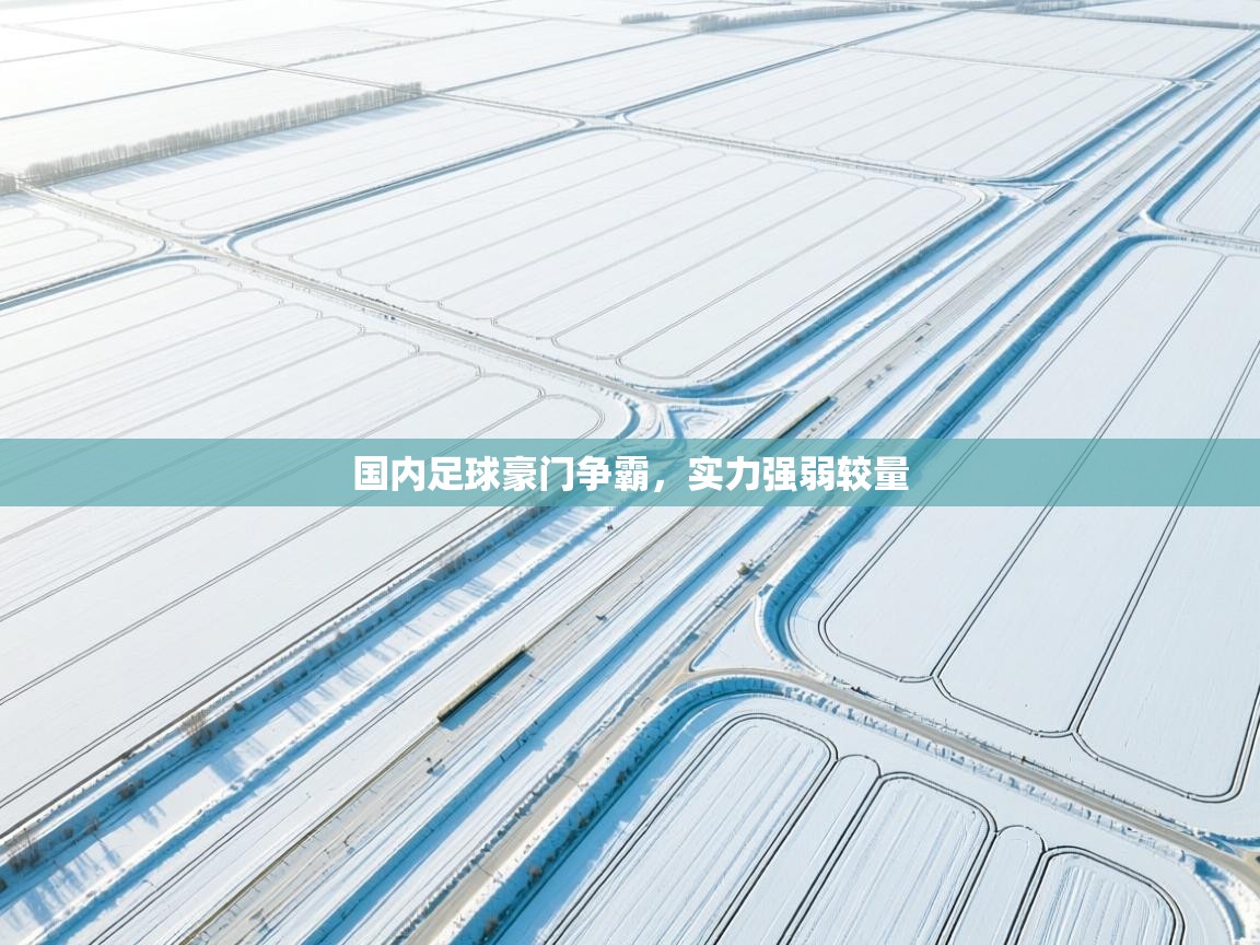 国内足球豪门争霸，实力强弱较量  第2张