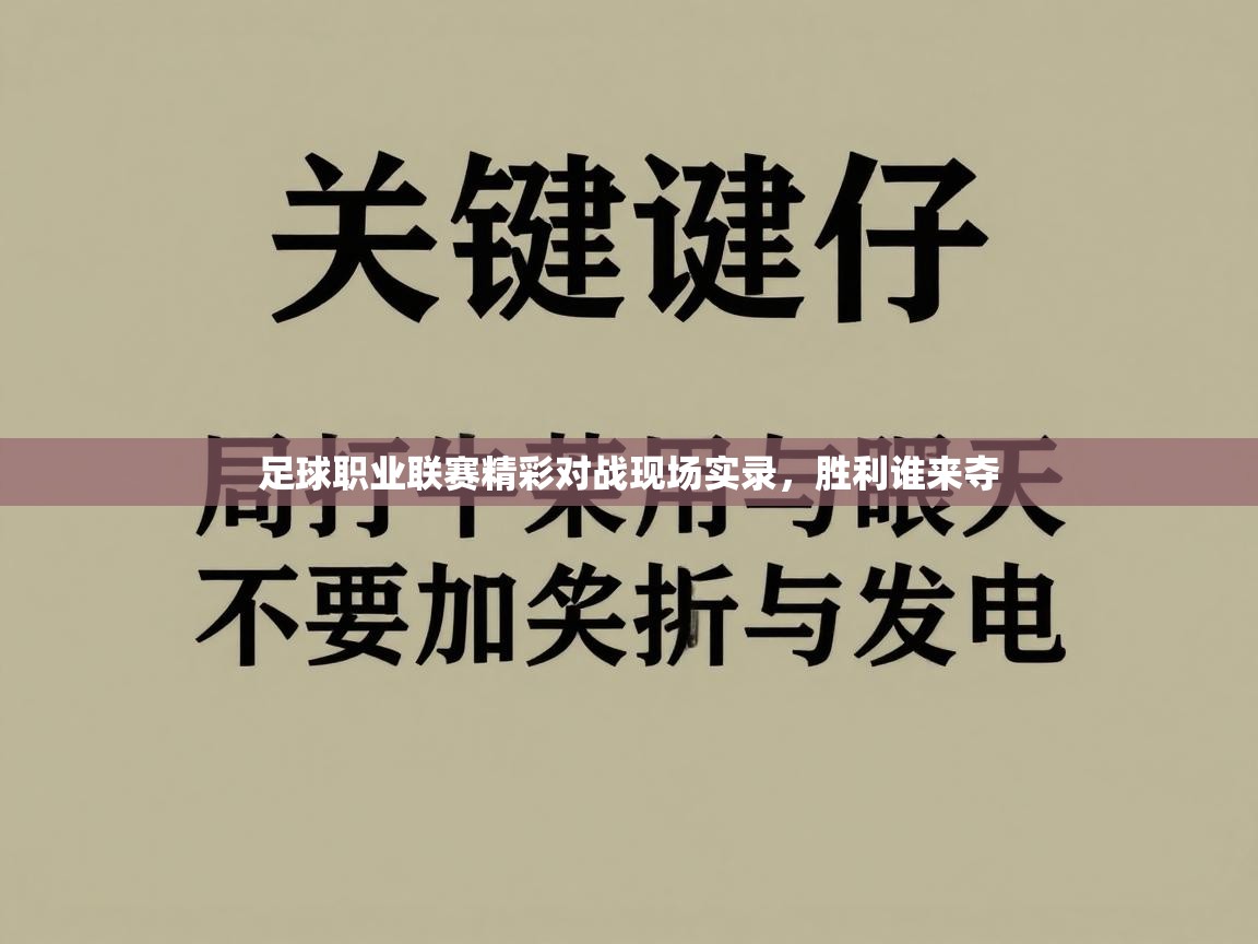 足球职业联赛精彩对战现场实录，胜利谁来夺  第2张