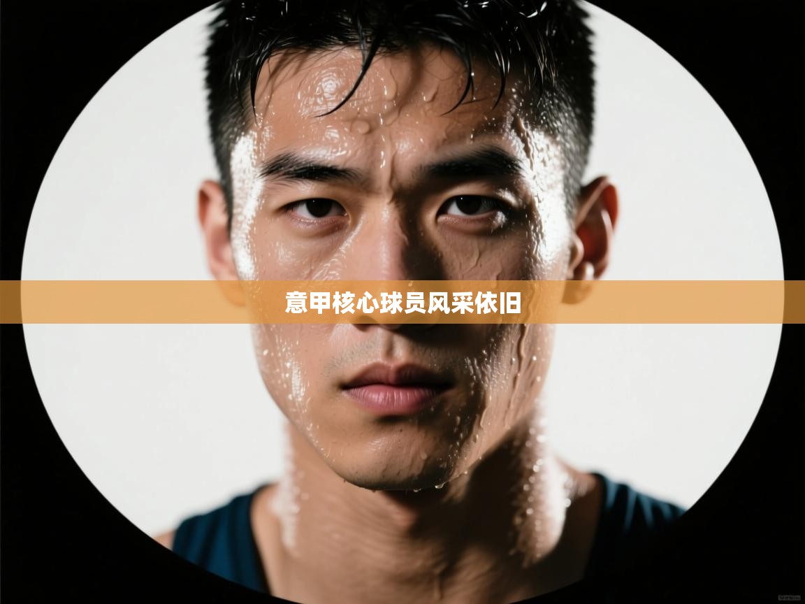 意甲核心球员风采依旧  第2张