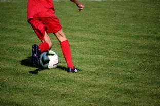 米乐m6登录-西雅图海湾者防守体系稳固，力求半决赛再创佳绩