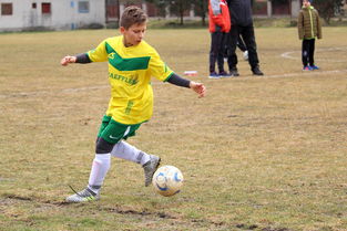 米乐m6官网-无懈可击！实力碰撞，欧预赛焦点战进入白热化，欧预赛大名单