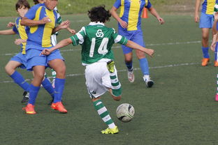 泸州米乐官网-热那亚主帅计划调整战术，全力争取逆转，热那亚转入球员